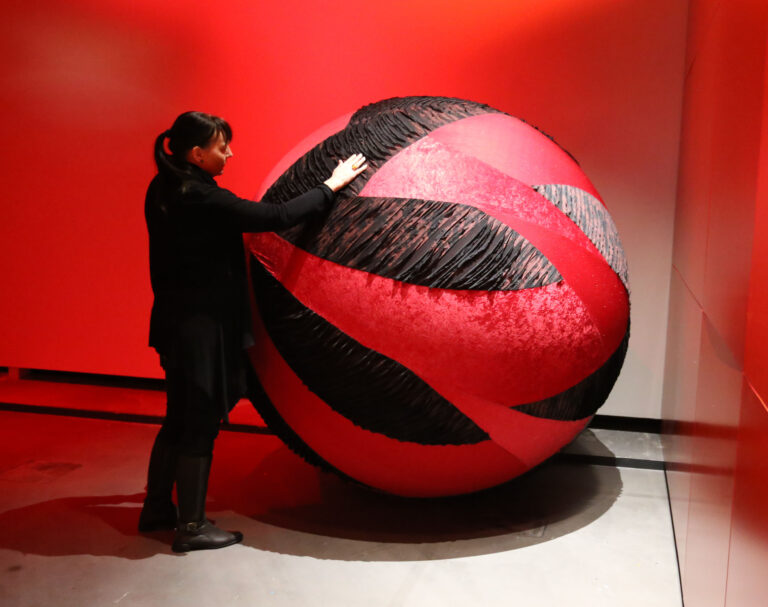Punahohteisessa näyttelytilassa on aikuisen ihmisen kokoinen punakirjava pallo. Pallo on Supermarja teos. Teoksen pinta muodostuu useasta eri kangasmateriaalista. Sen vieressä seisoo aikuinen henkilö. Hän koskettaa teosta vartalollaan ja toisella kädellään. Teos on korkeampi kuin tämä henkilö.