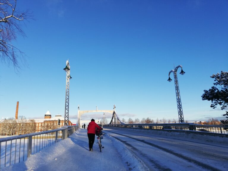Talvinen Porin silta