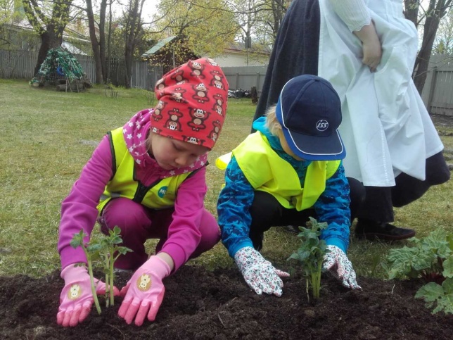 Kaksi lasta istuttavat kasvimaahan kasveja pihalla