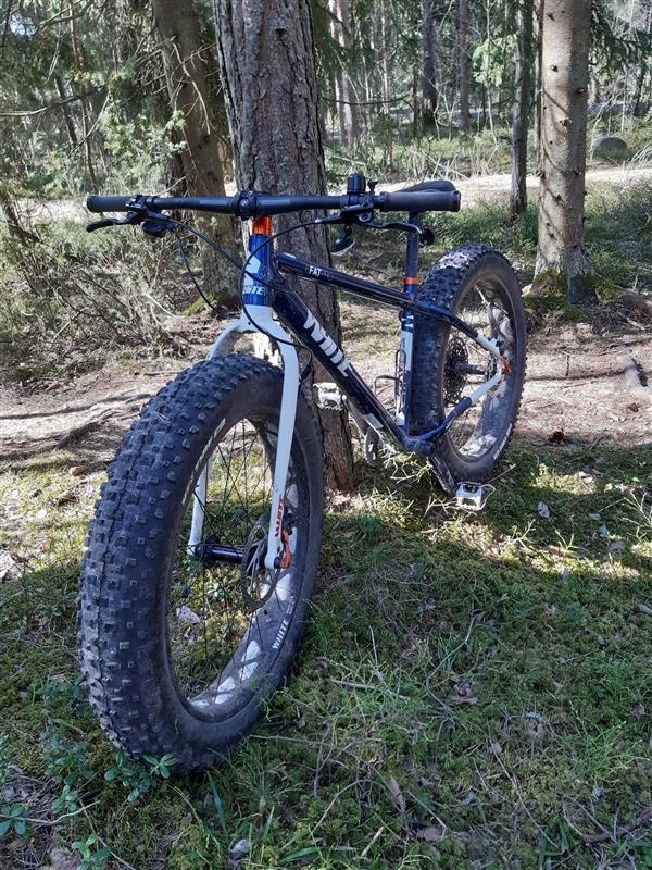 Fatbike-pyörä nojaa puuta vasten metsässä
