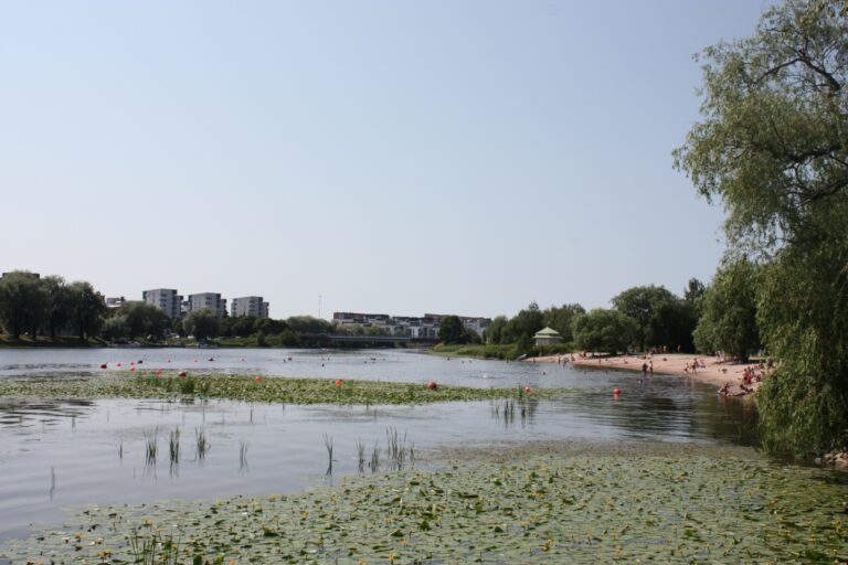 Kirjurinluodon uimaranta ja Kokemäenjoki hellepäivänä