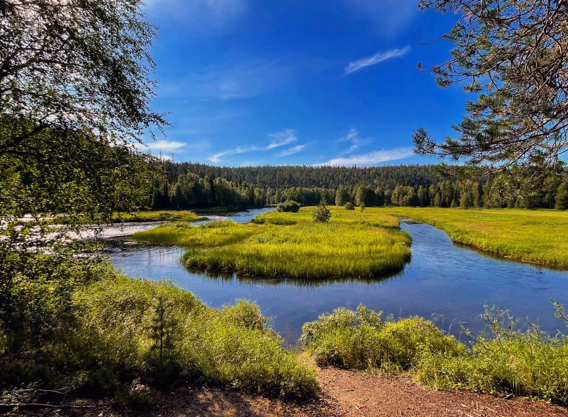 porin-lukio-porin-kaupunki