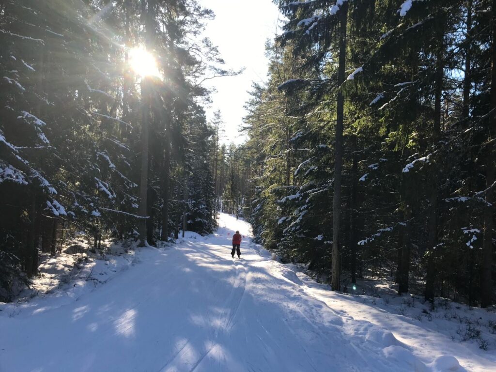 Henkilö hiihtää metsässä