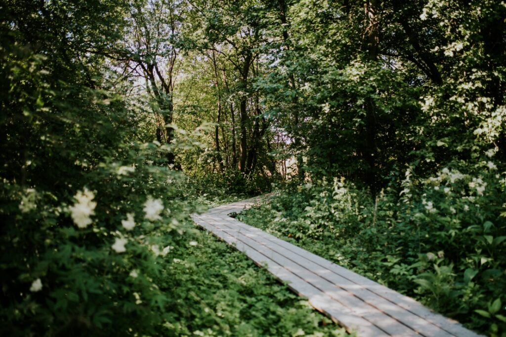 Kirjurinluoto, nature trail