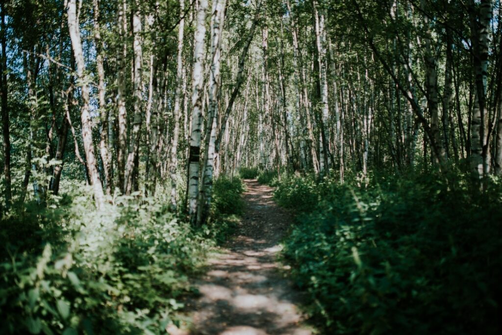 Kirjurinluoto, nature trail