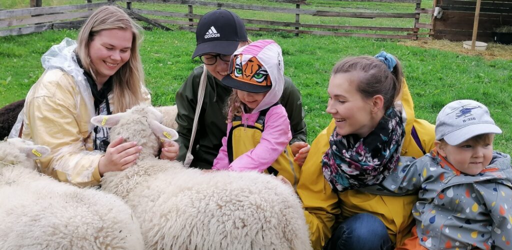 Koivuniemen Herra, people petting sheep on a farm