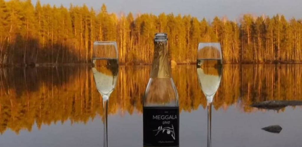 Viinitila Meggala, sparkling wine in glasses