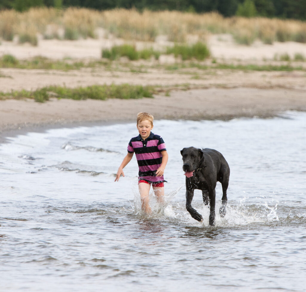 poika ja koira juoksevat rantavedessä