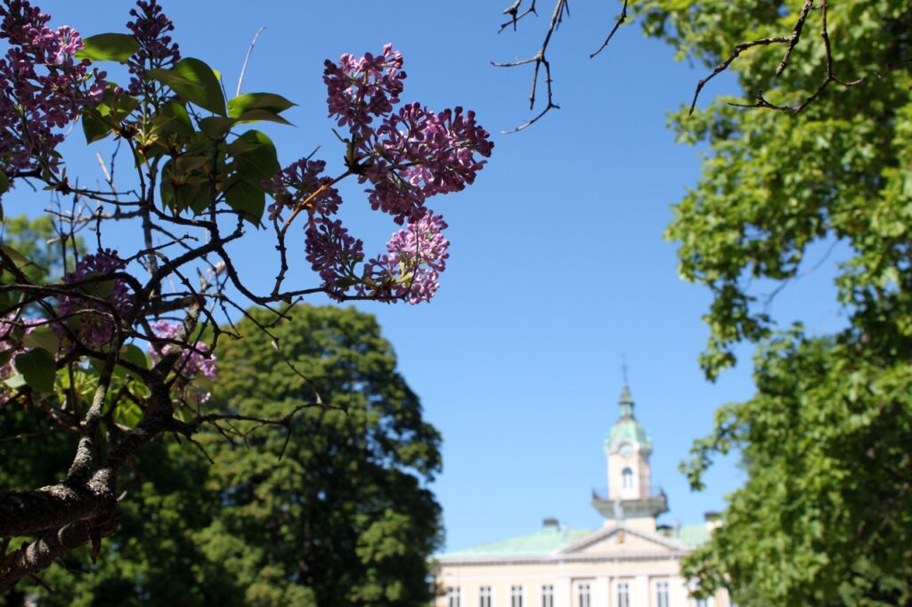 Syreeni Raatihuoneepuistossa